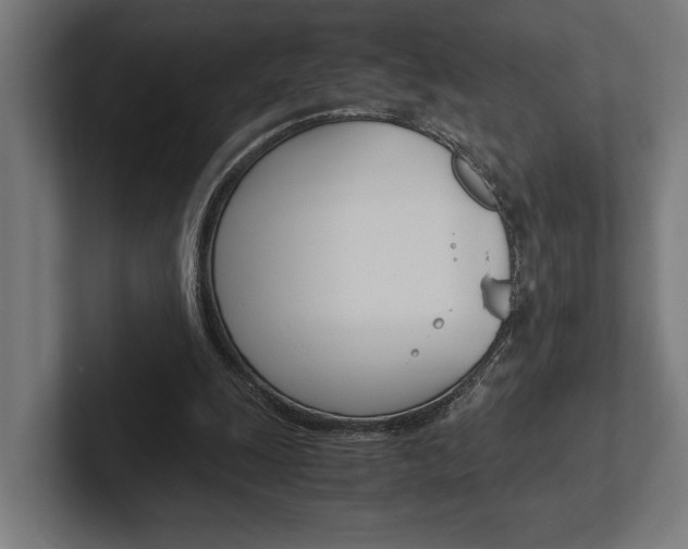 X0000102380247200808010920