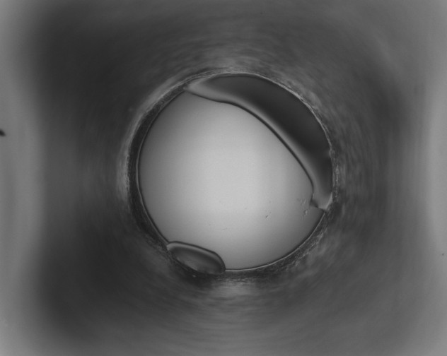X0000102380248200808010920