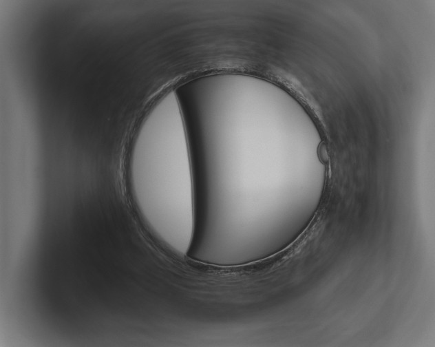 X0000102380249200808010920