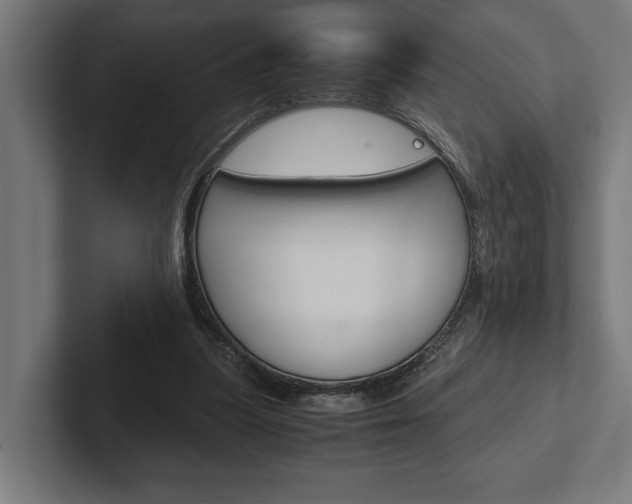X0000102380251200808010920