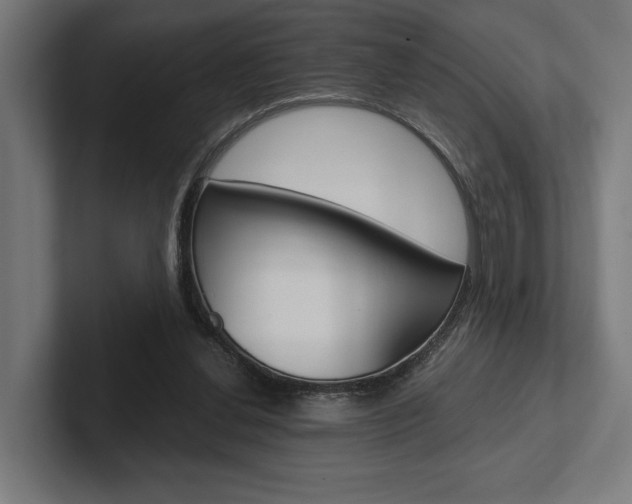 X0000102380252200808010920