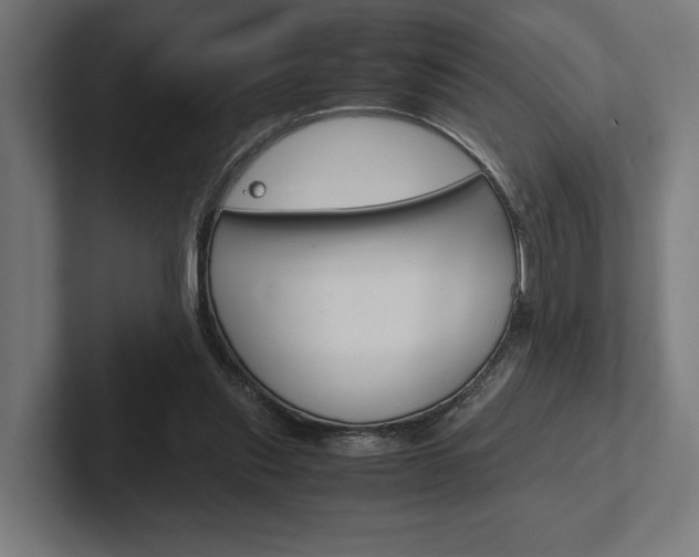 X0000102380253200808010920