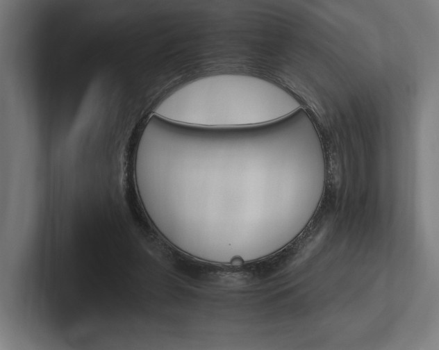 X0000102380255200808010920
