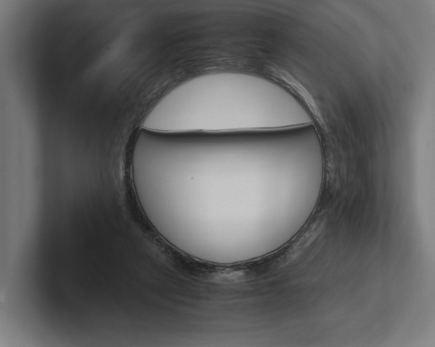 X0000102380257200808010920