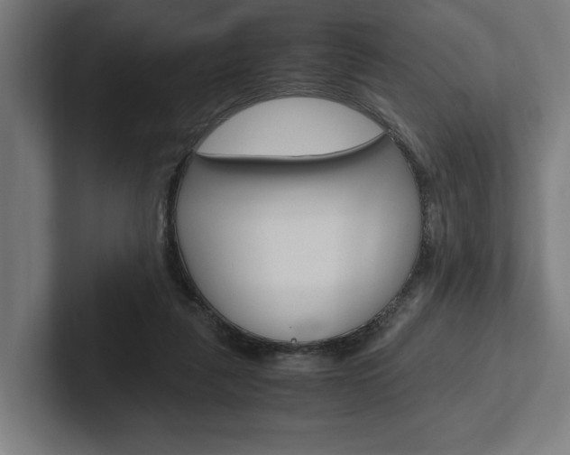 X0000102380259200808010920