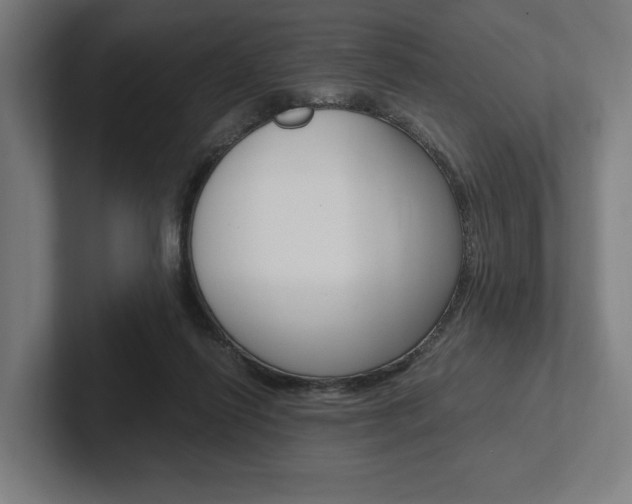 X0000102380262200808010920
