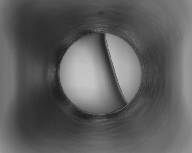 X0000102380263200808010920