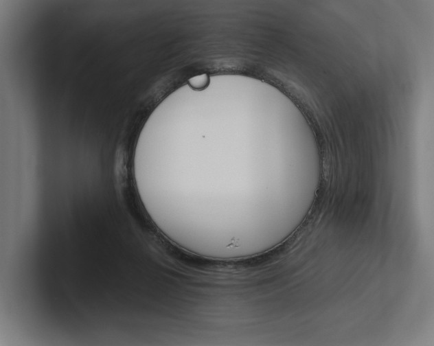 X0000102380264200808010920