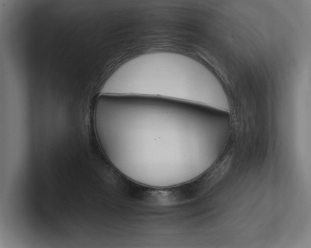 X0000102380265200808010920