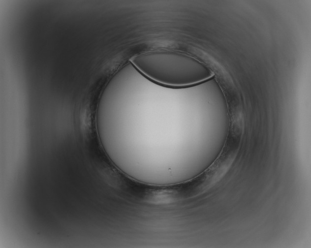 X0000102380268200808010920
