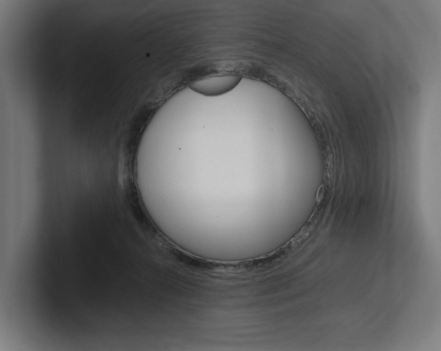 X0000102380272200808010920