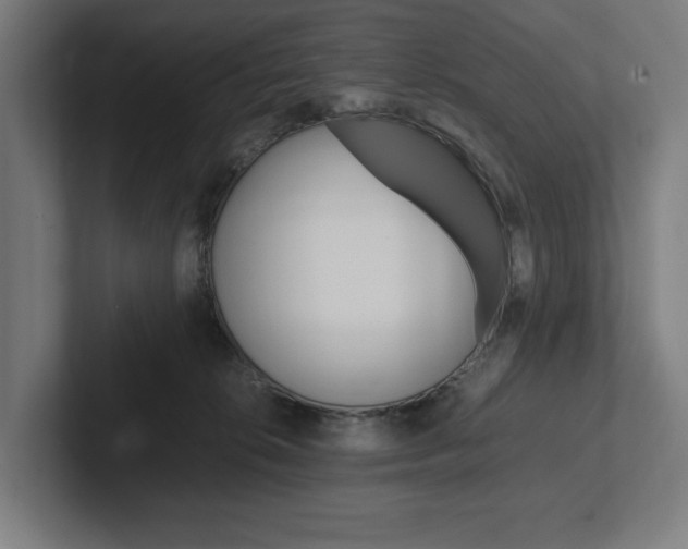 X0000102380276200808010920