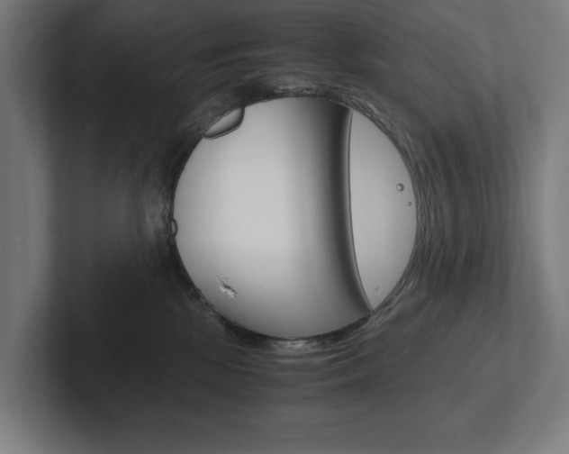 X0000102380281200808010920