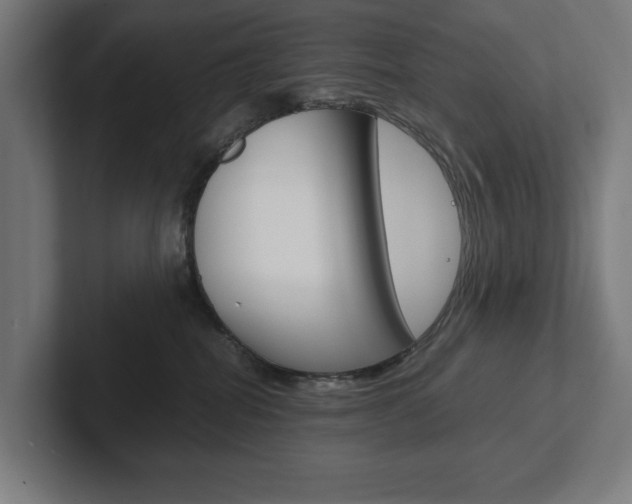 X0000102380282200808010920