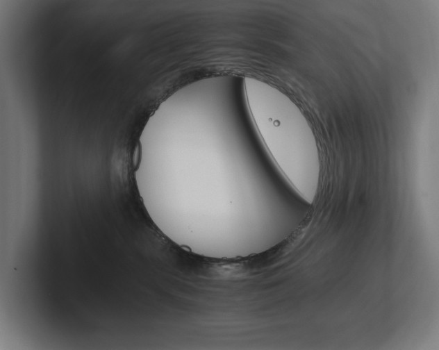X0000102380283200808010920