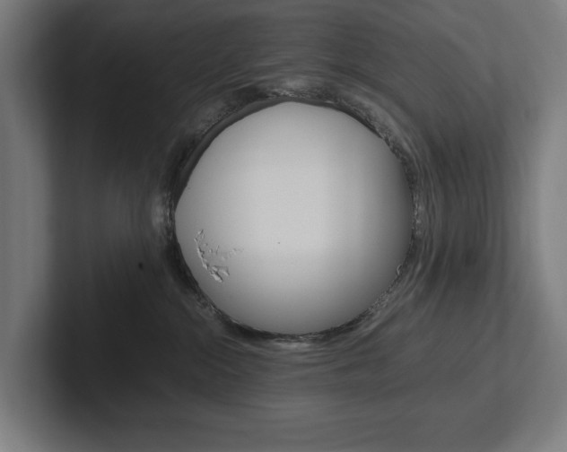 X0000102380284200808010920