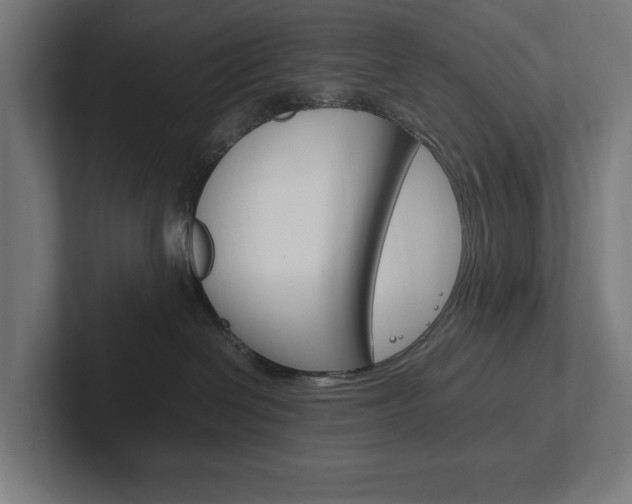 X0000102380286200808010920