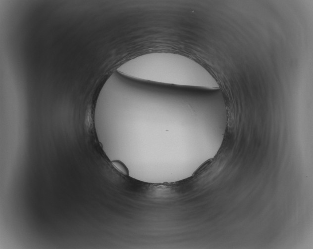 X0000102380287200808010920