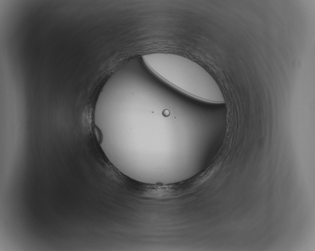 X0000102380288200808010920