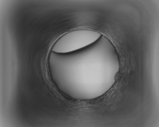 X0000102380289200808010920