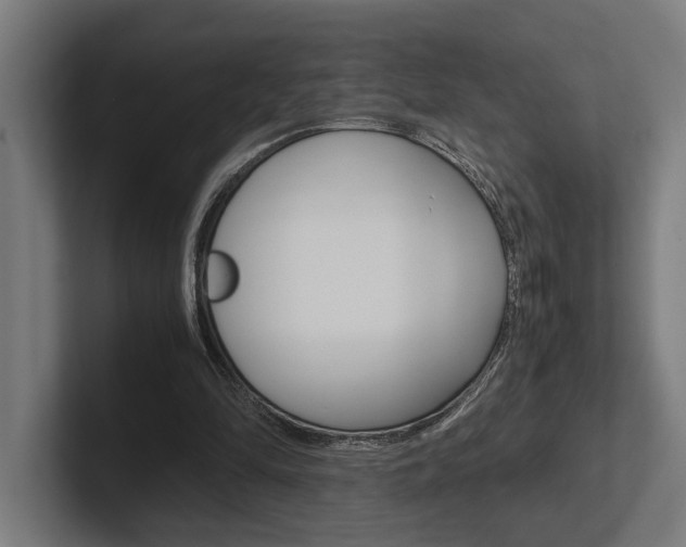 X0000102380294200808010920