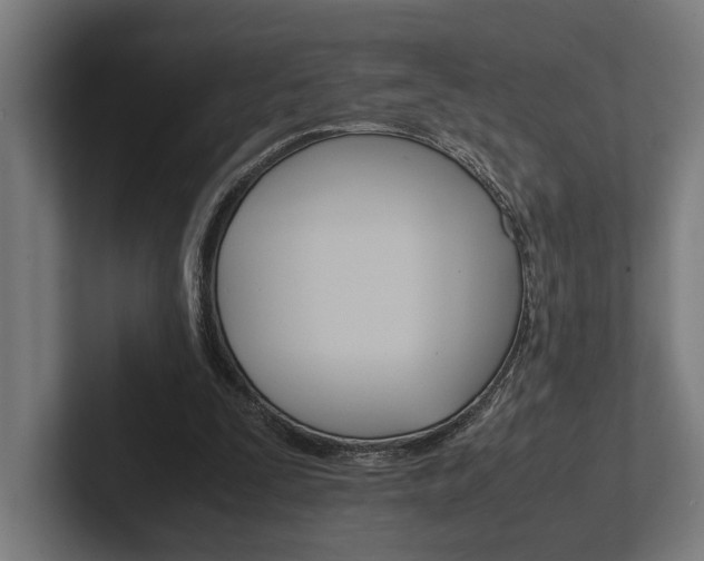 X0000102380295200808010920