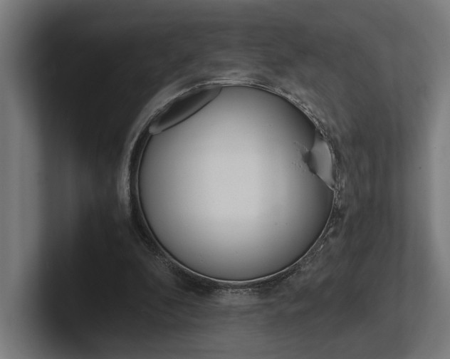 X0000102380296200808010920