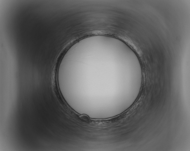 X0000102380297200808010920