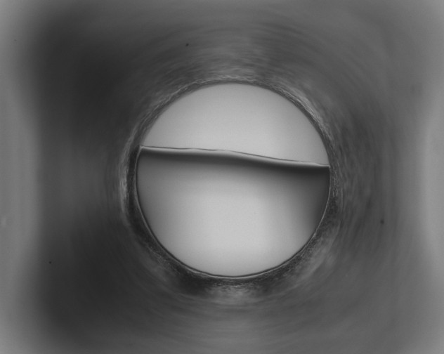 X0000102380299200808010920