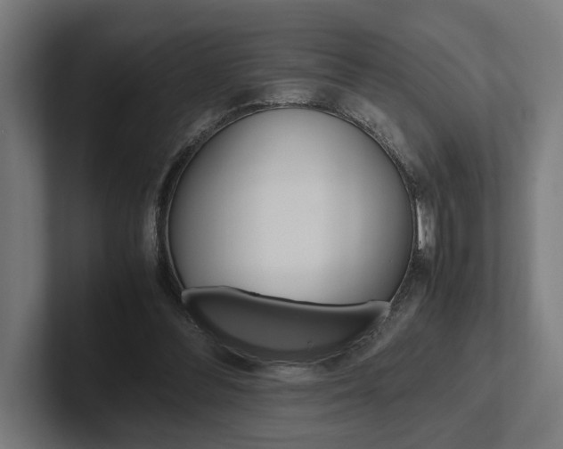 X0000102380300200808010920