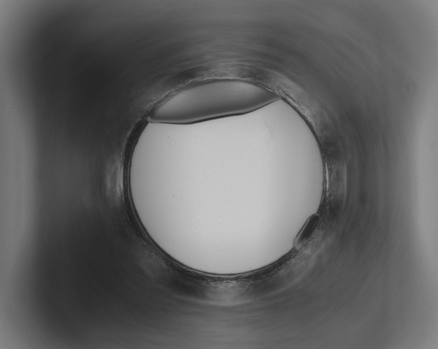 X0000102380301200808010920