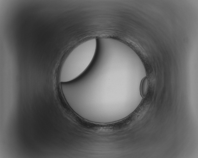 X0000102380303200808010920