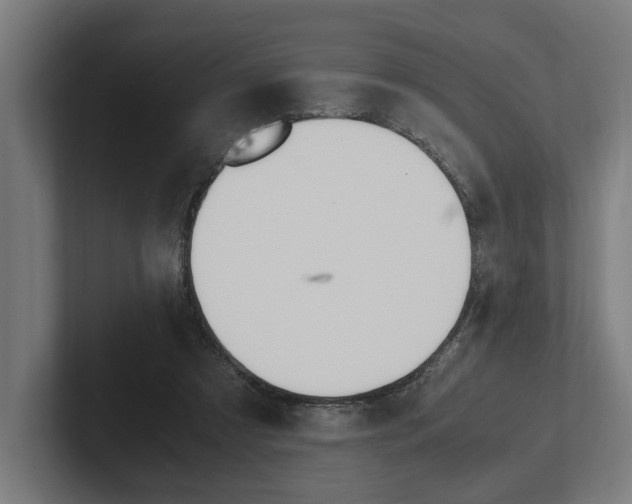 X0000102380305200808010919