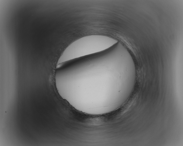 X0000102380307200808010919