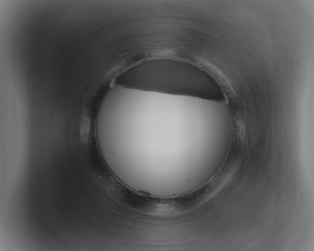 X0000102380308200808010919