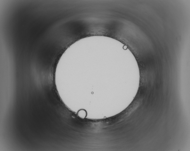 X0000102380309200808010919