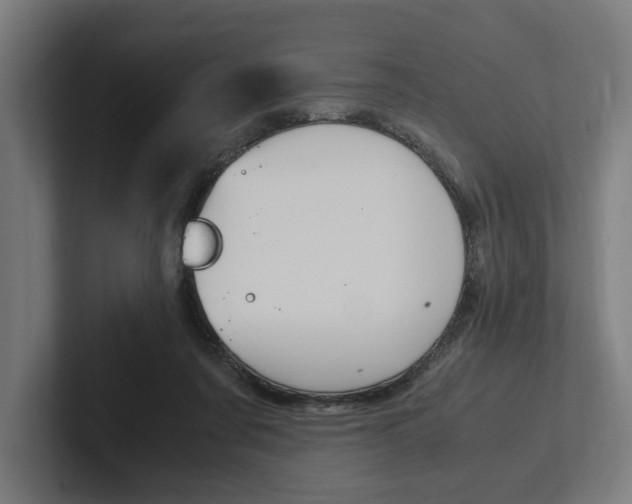 X0000102380311200808010919