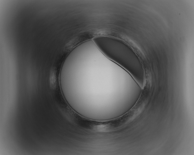 X0000102380312200808010919
