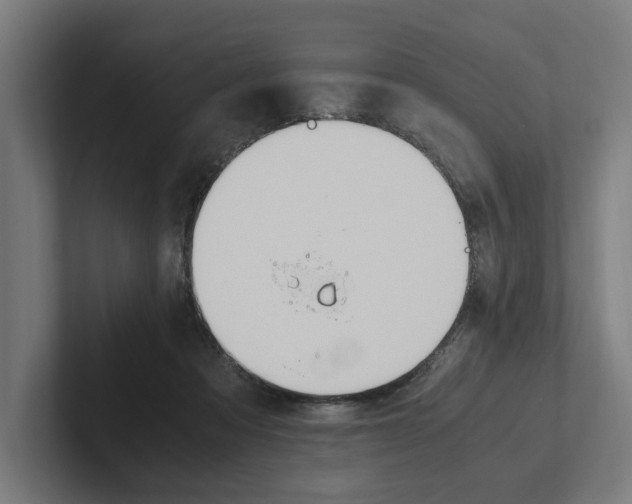 X0000102380313200808010919