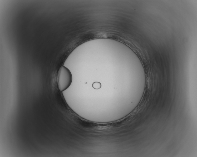 X0000102380314200808010919