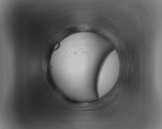 X0000102380315200808010919