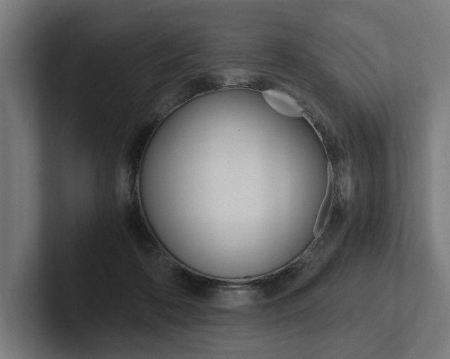 X0000102380316200808010919