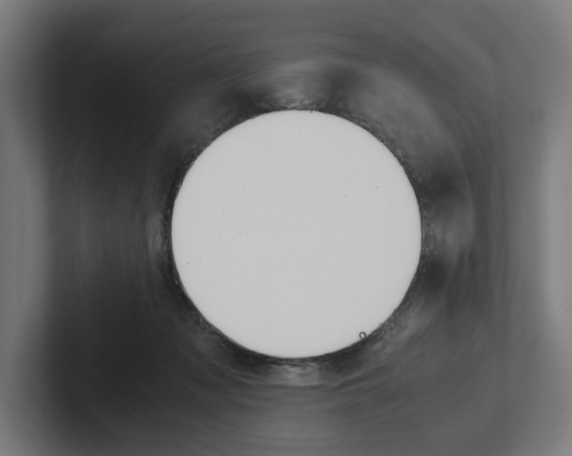 X0000102380317200808010919