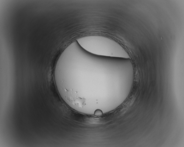 X0000102380318200808010919