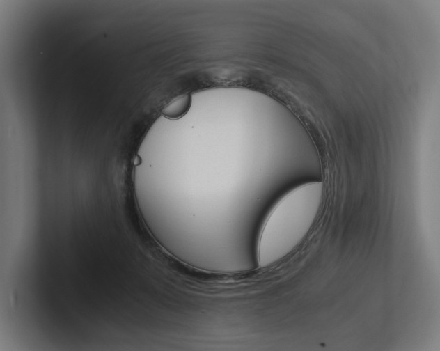 X0000102380319200808010919