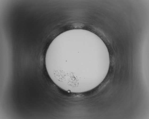 X0000102380321200808010919