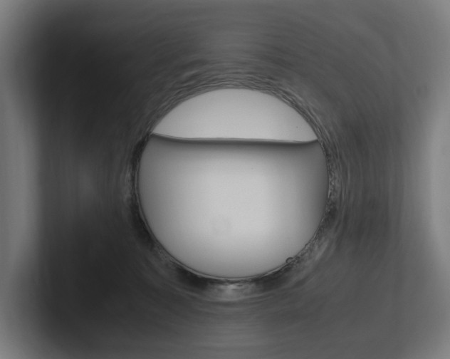 X0000102380323200808010919