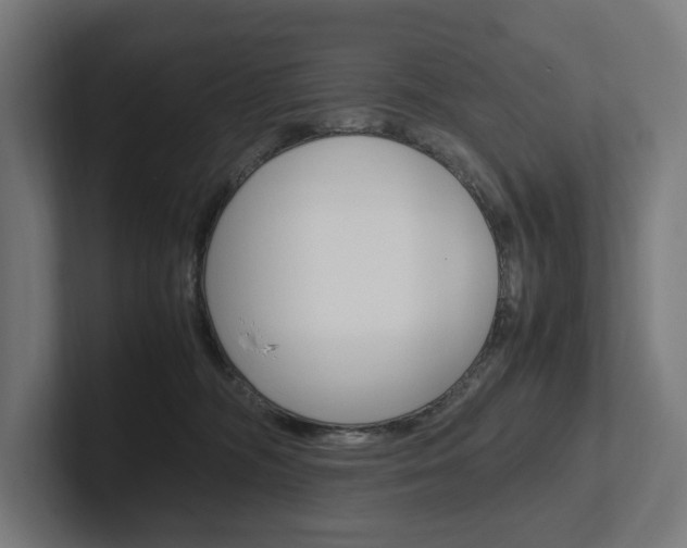 X0000102380326200808010919