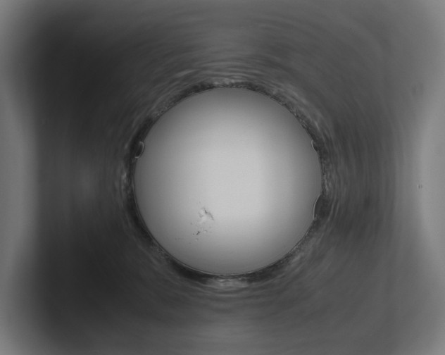 X0000102380327200808010919