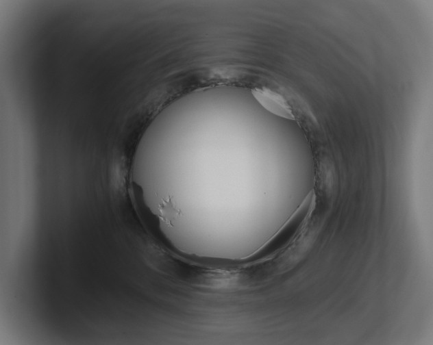 X0000102380328200808010919
